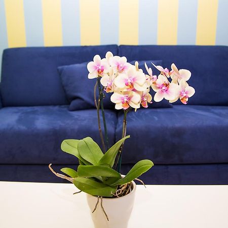 Bed and Breakfast Lemon Flats Sorrento Esterno foto